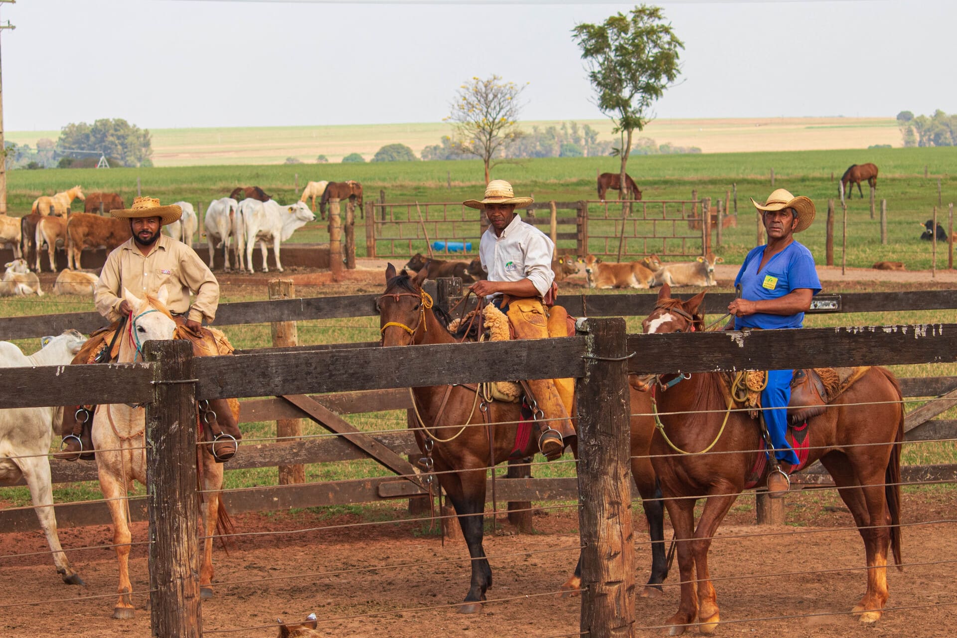 Foto Agropecuária Ipê - Trabalhe Conosco Foto 04