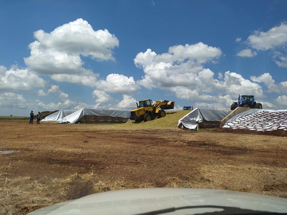 Foto Agropecuária Ipê - Sementes Foto 04