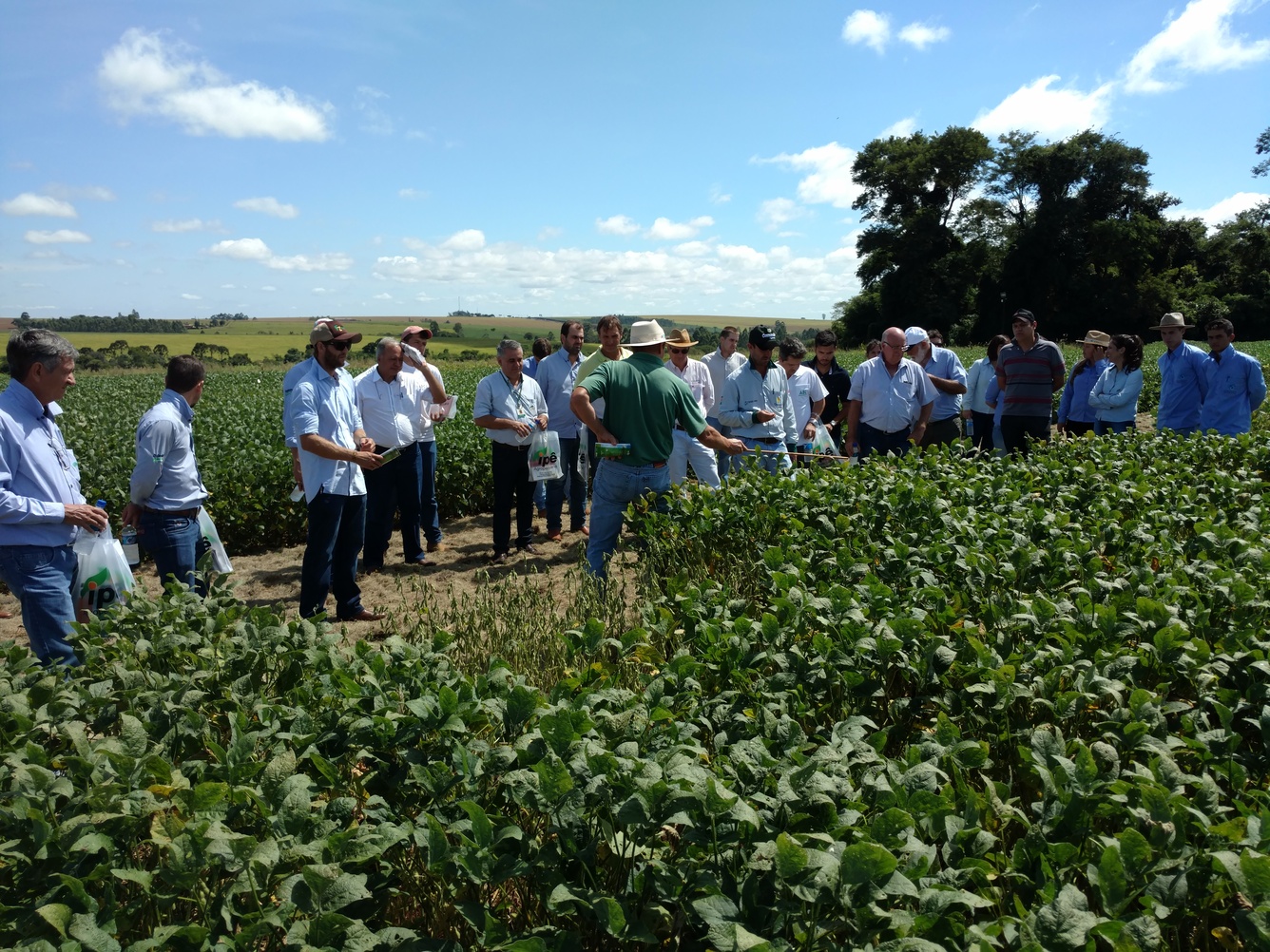 Foto Agropecuária Ipê - Sementes Foto 01