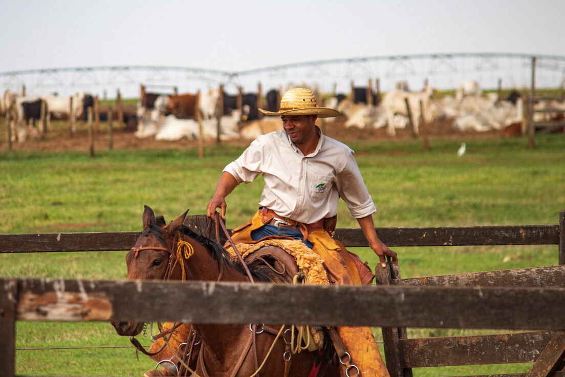 Foto Agropecuária Ipê - Sementes Foto 01